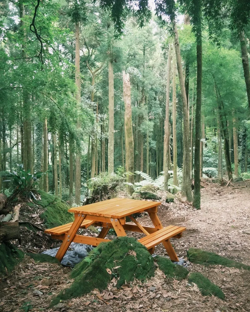 杉旅森林 Coffee Roaster