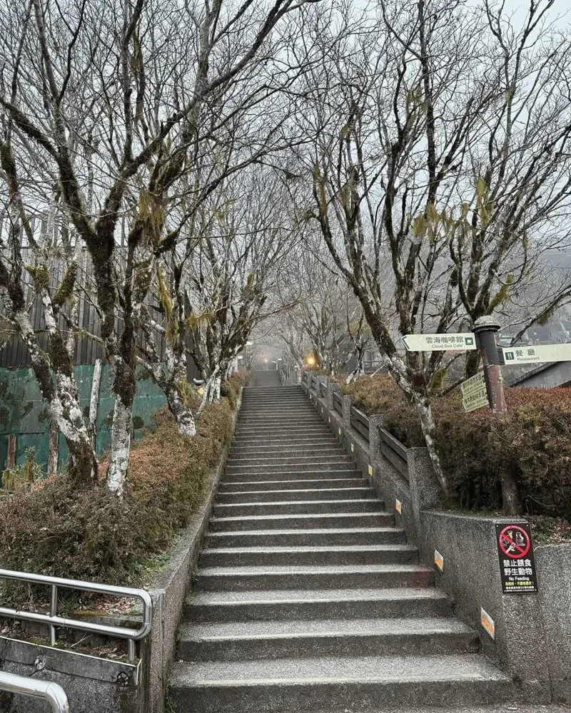 見晴懷古步道