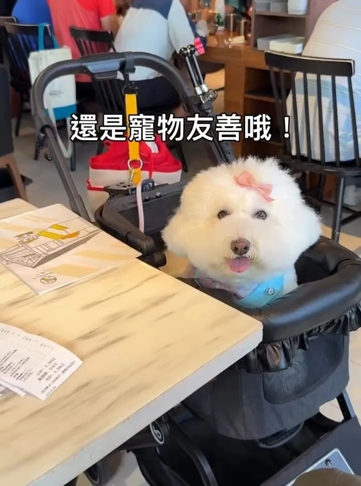 光一肆號