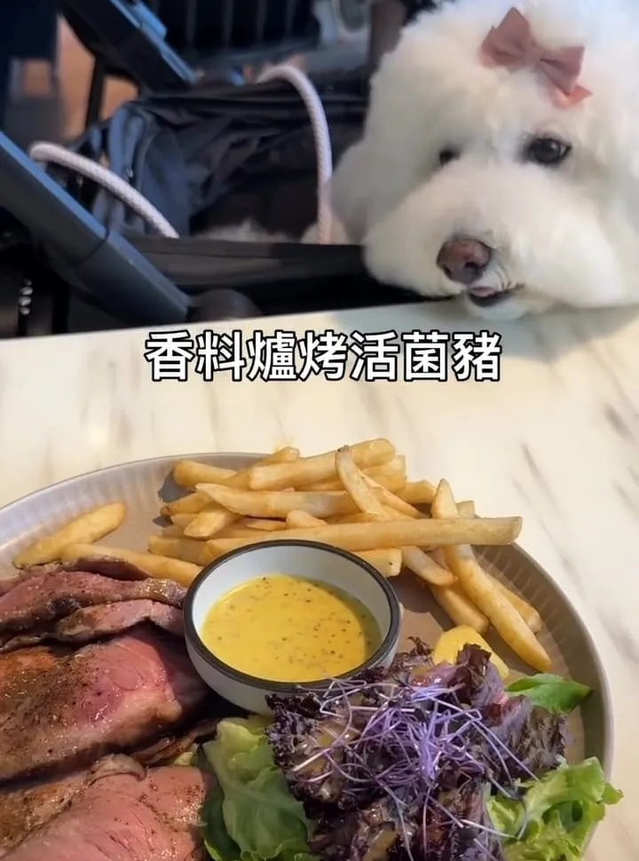 光一肆號