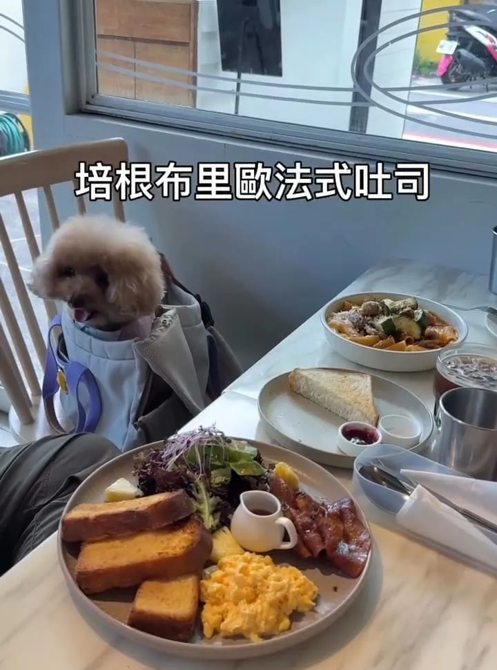 光一肆號