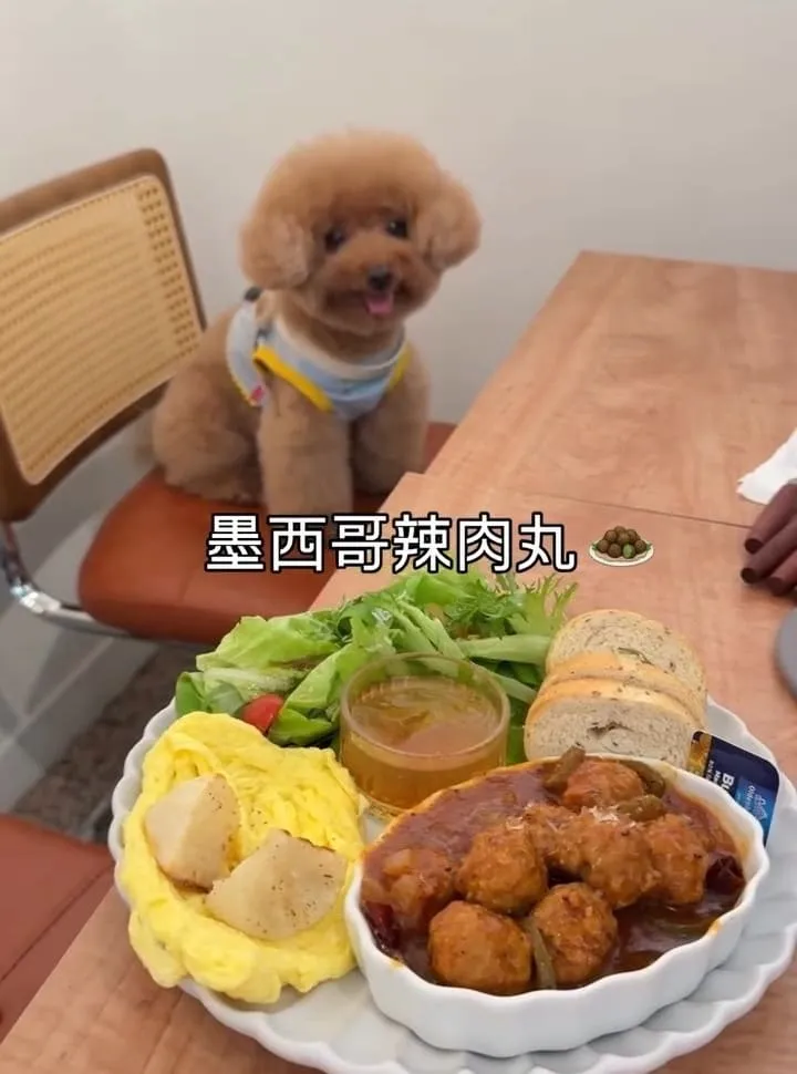 Keeper Brunch|桃園寵物友善早午餐