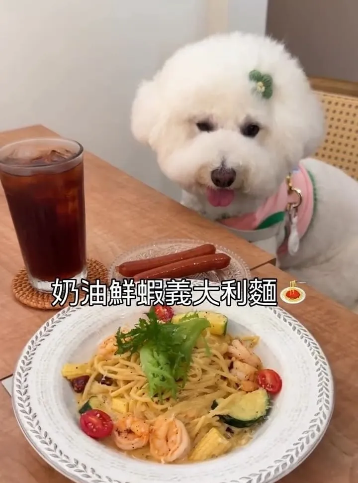 Keeper Brunch|桃園寵物友善早午餐