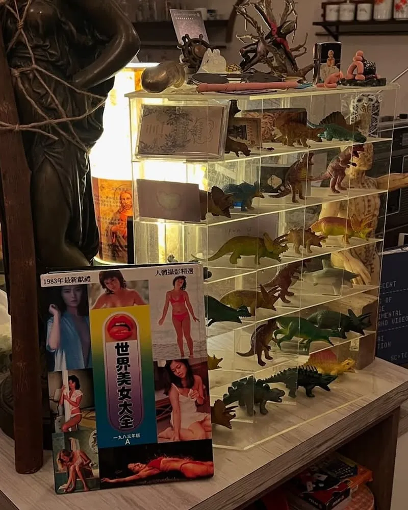 貓蚯蚓 Maoworm