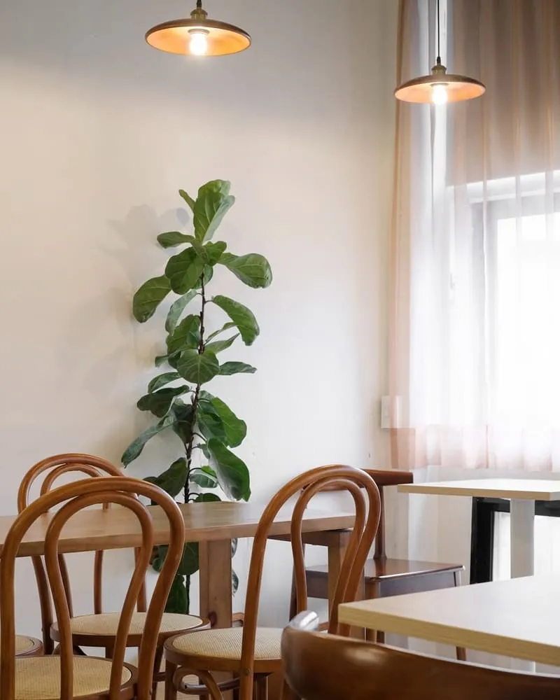 水色洋菓房 Mizuiro Studio