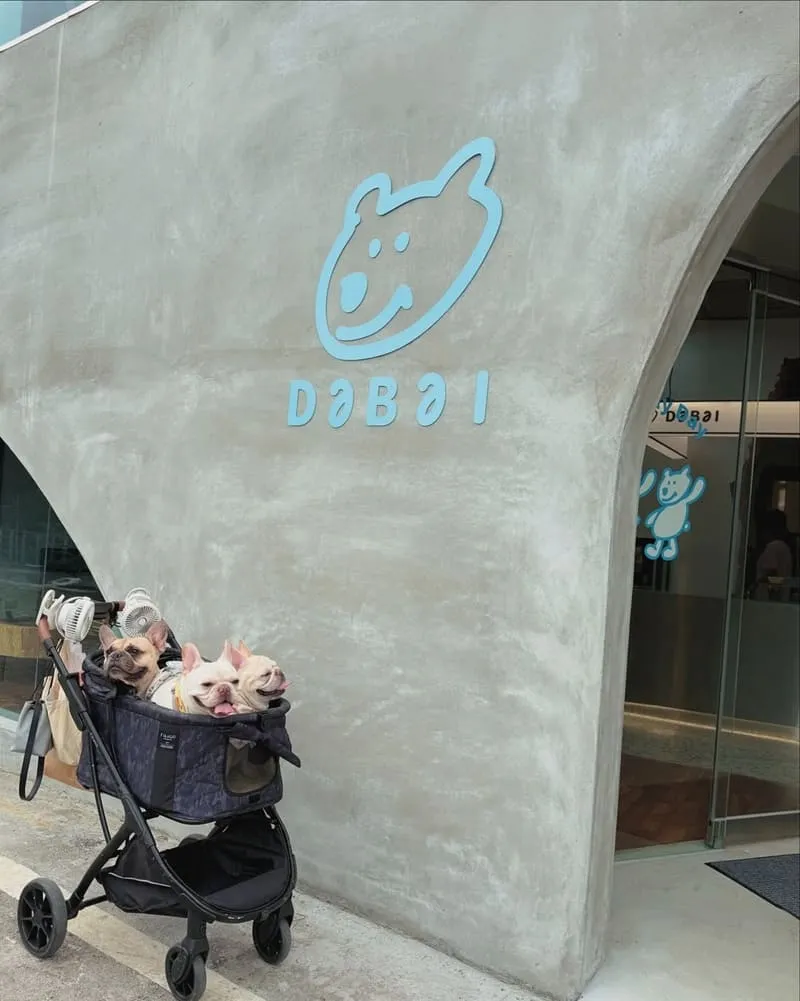 大白咖啡 Dabai Café