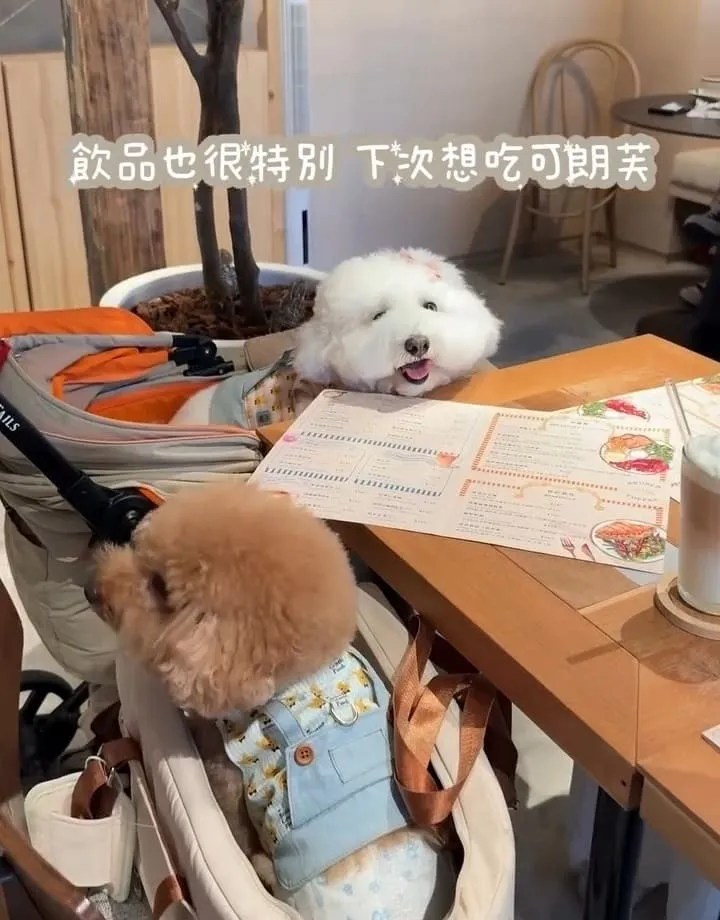 伍食No.510 內湖人氣早午餐