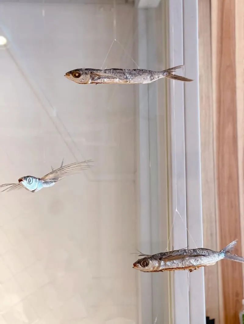拉麵らぁ麺魚堺中山店