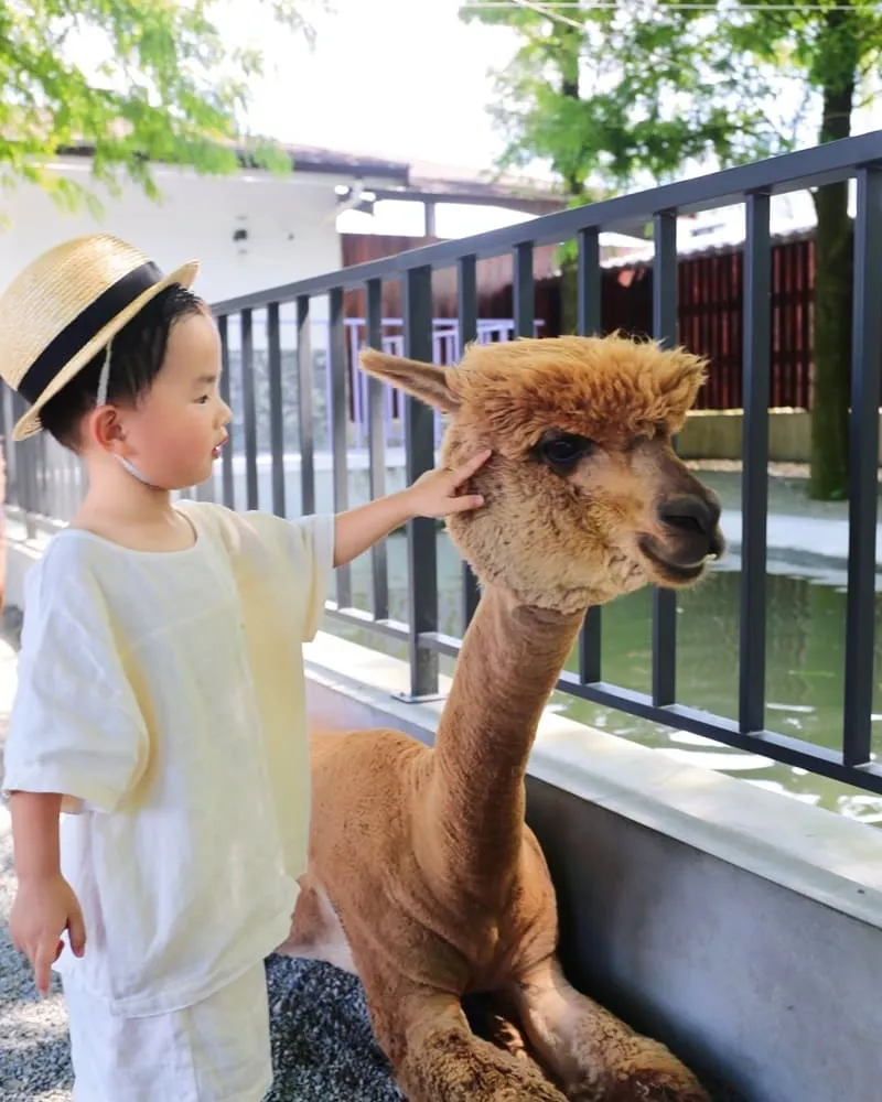樹懶餐廳