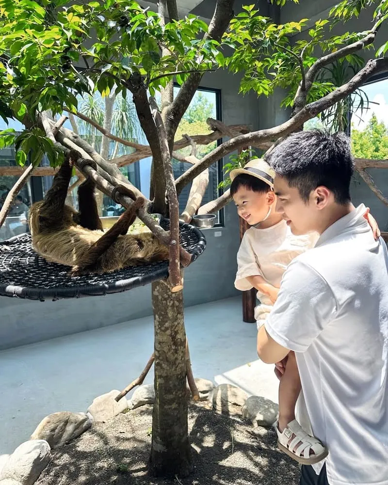 樹懶餐廳