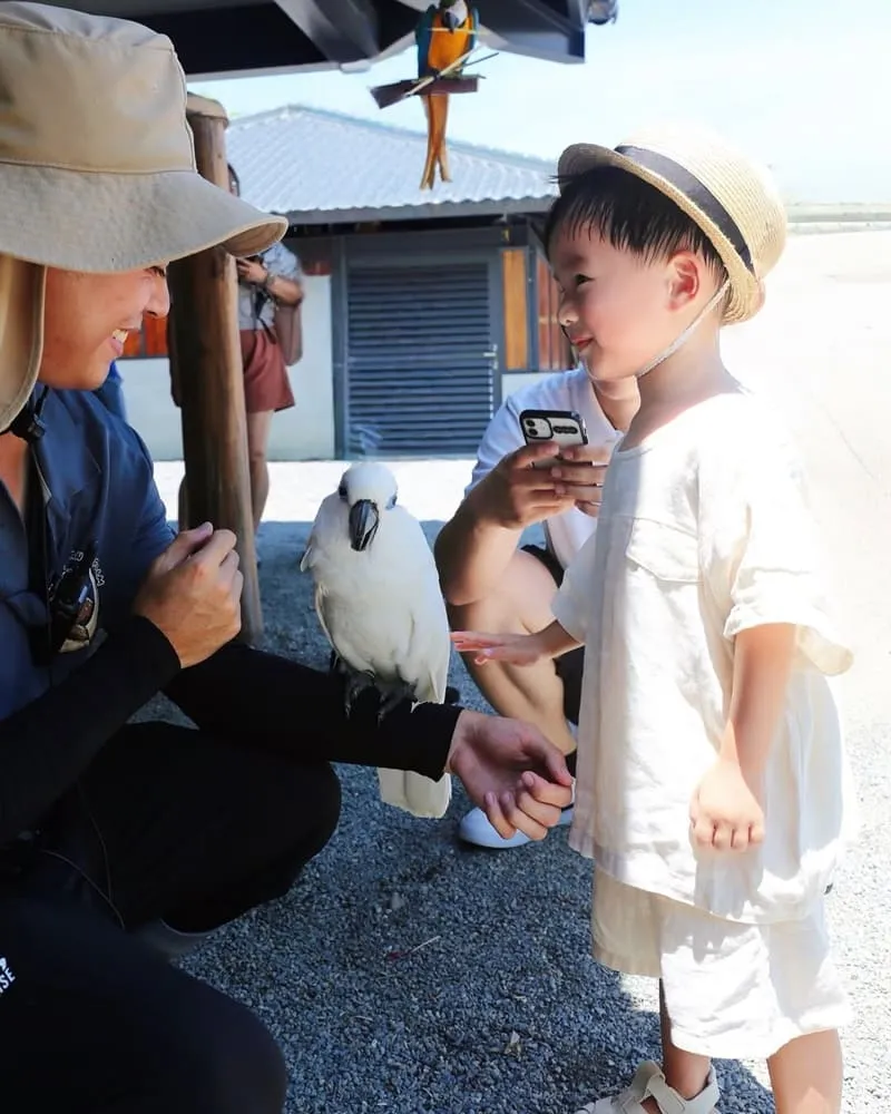 樹懶餐廳