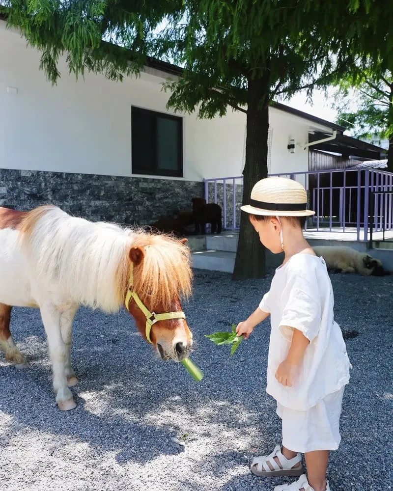樹懶餐廳