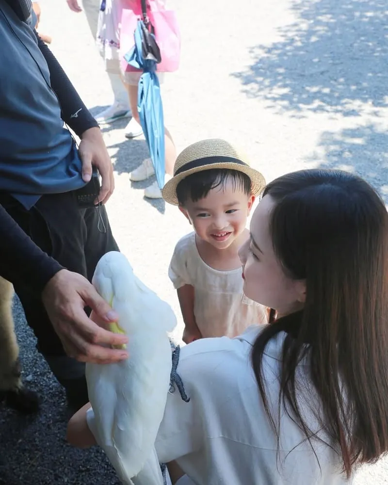 樹懶餐廳