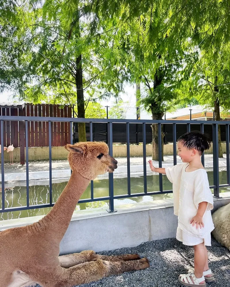 樹懶餐廳