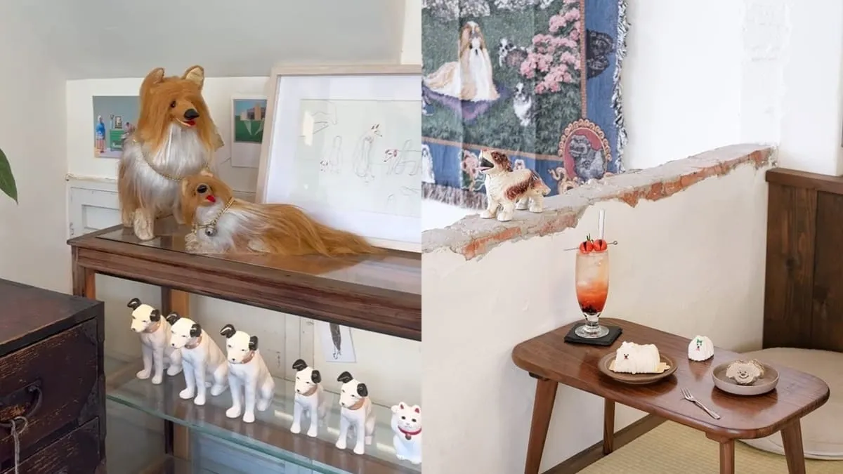 台南 Wakamodog
