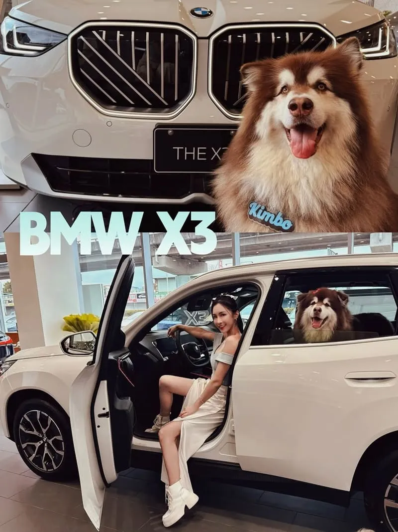 全新 BMW X3(G45)|毛孩家庭神車