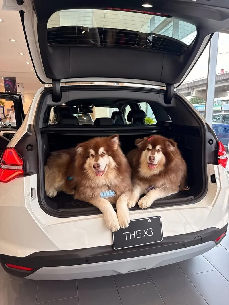 全新 BMW X3(G45)|毛孩家庭神車
