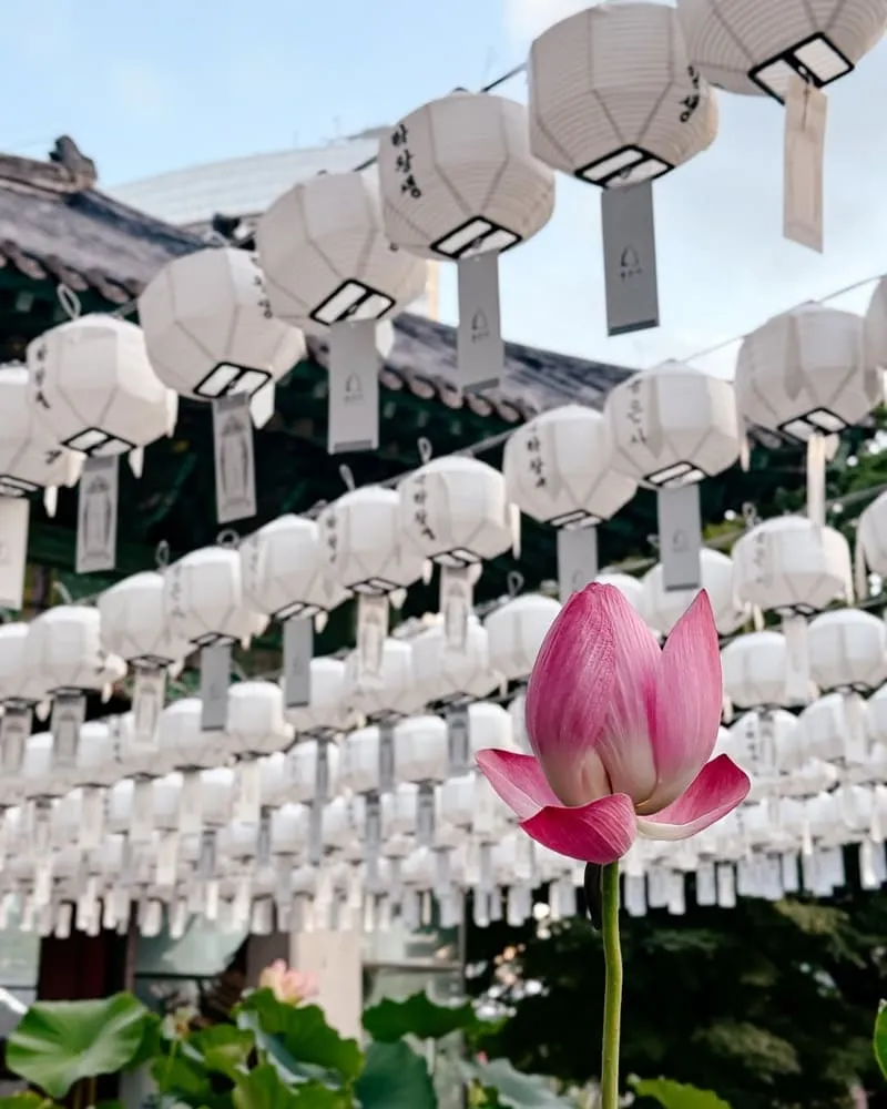 奉恩寺 首爾景點推薦