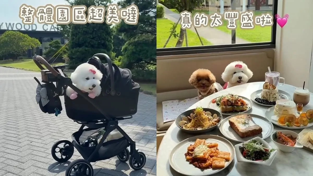 HoneyWood Cafe｜桃園晶麒莊園玻璃屋咖啡