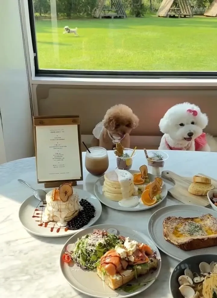 HoneyWood Cafe|桃園晶麒莊園玻璃屋咖啡
