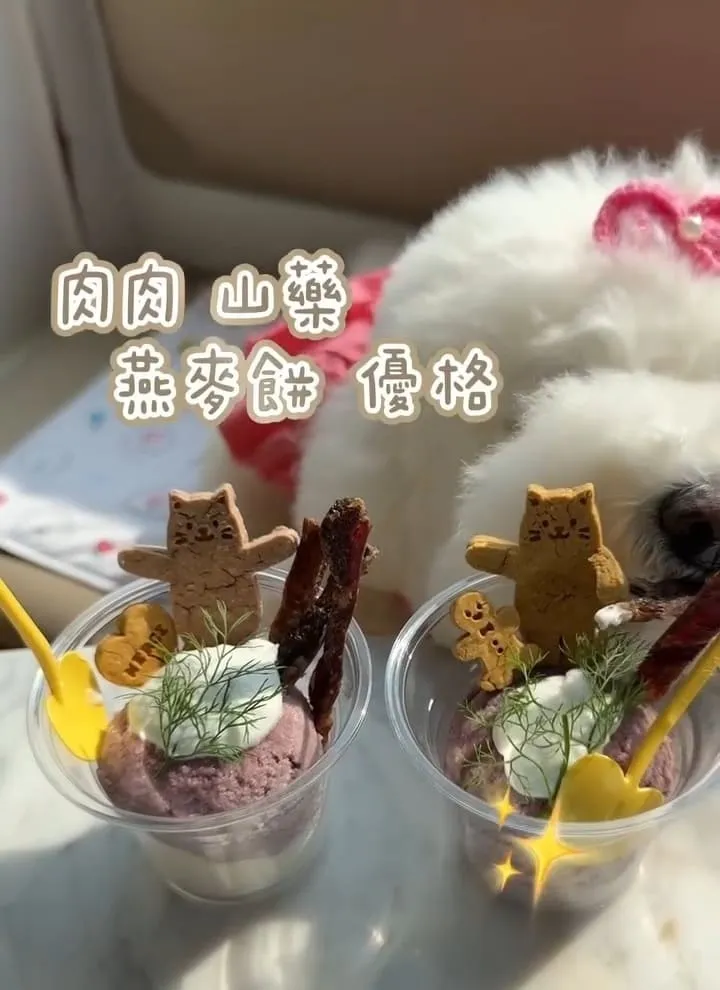 HoneyWood Cafe|桃園晶麒莊園玻璃屋咖啡