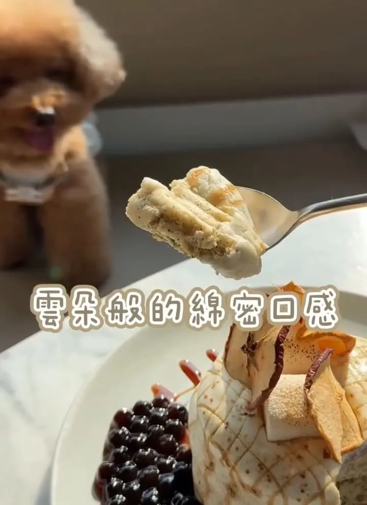 HoneyWood Cafe|桃園晶麒莊園玻璃屋咖啡