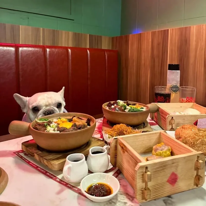 龍囍茶檔亞東店