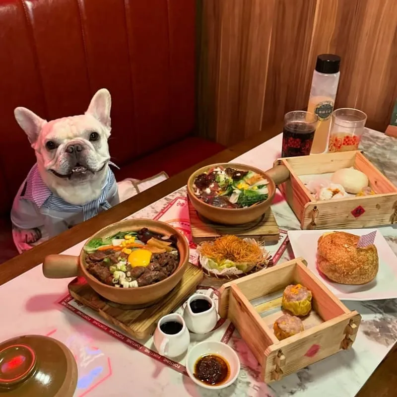 龍囍茶檔亞東店
