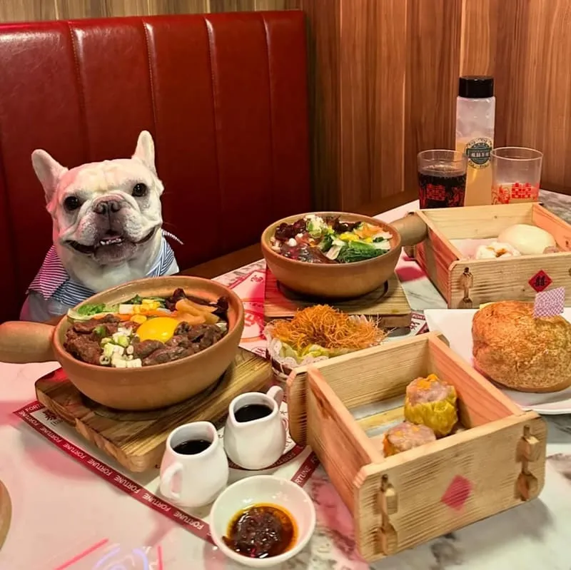龍囍茶檔亞東店