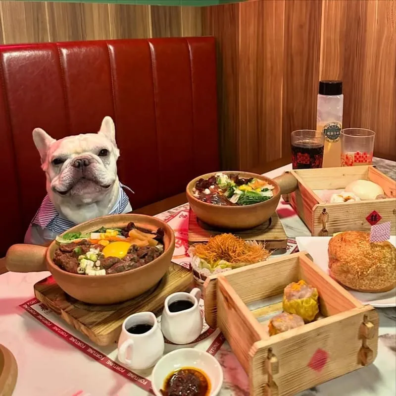 龍囍茶檔亞東店