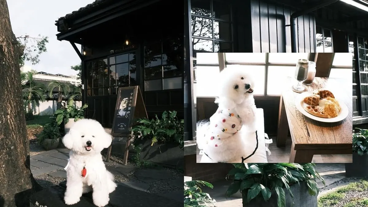 Morikoohii 森咖啡｜嘉義檜意森活村咖啡廳