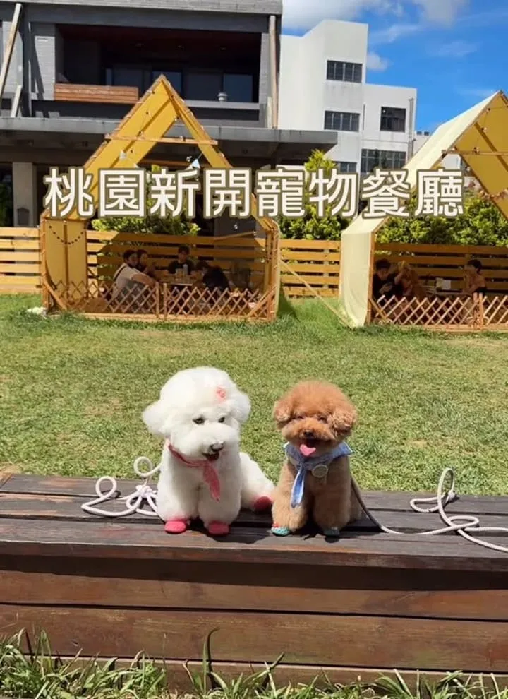 Nose.Y Café 諾奇意咖啡
