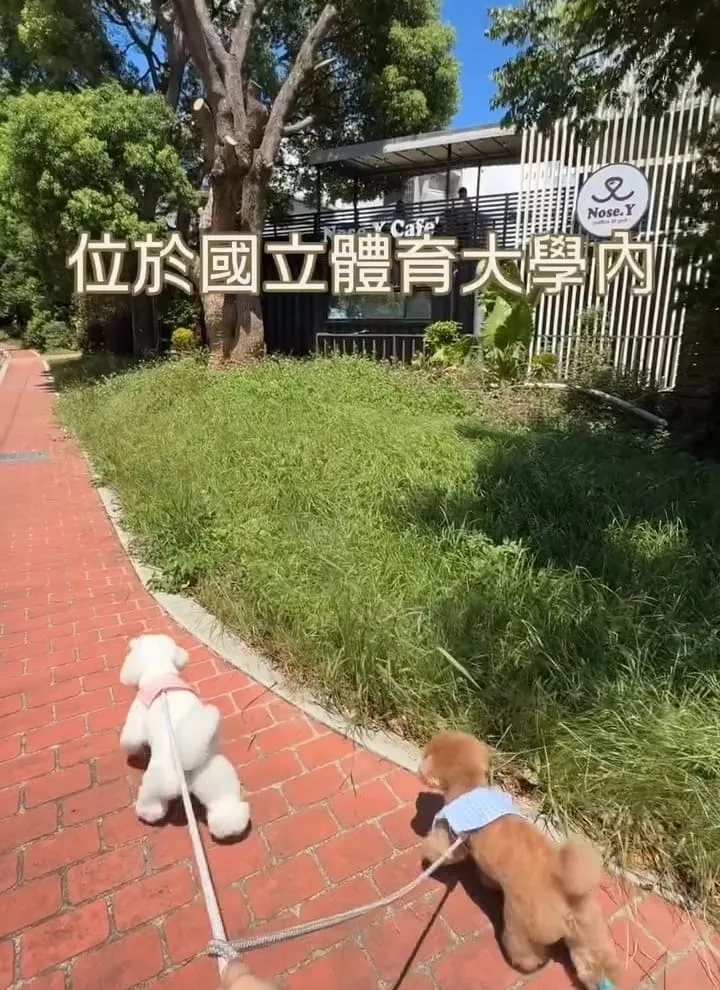 Nose.Y Café 諾奇意咖啡