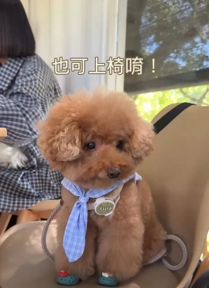 Nose.Y Café 諾奇意咖啡