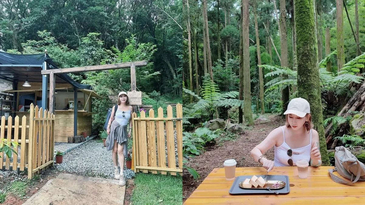 杉旅森林 Coffee Roaster