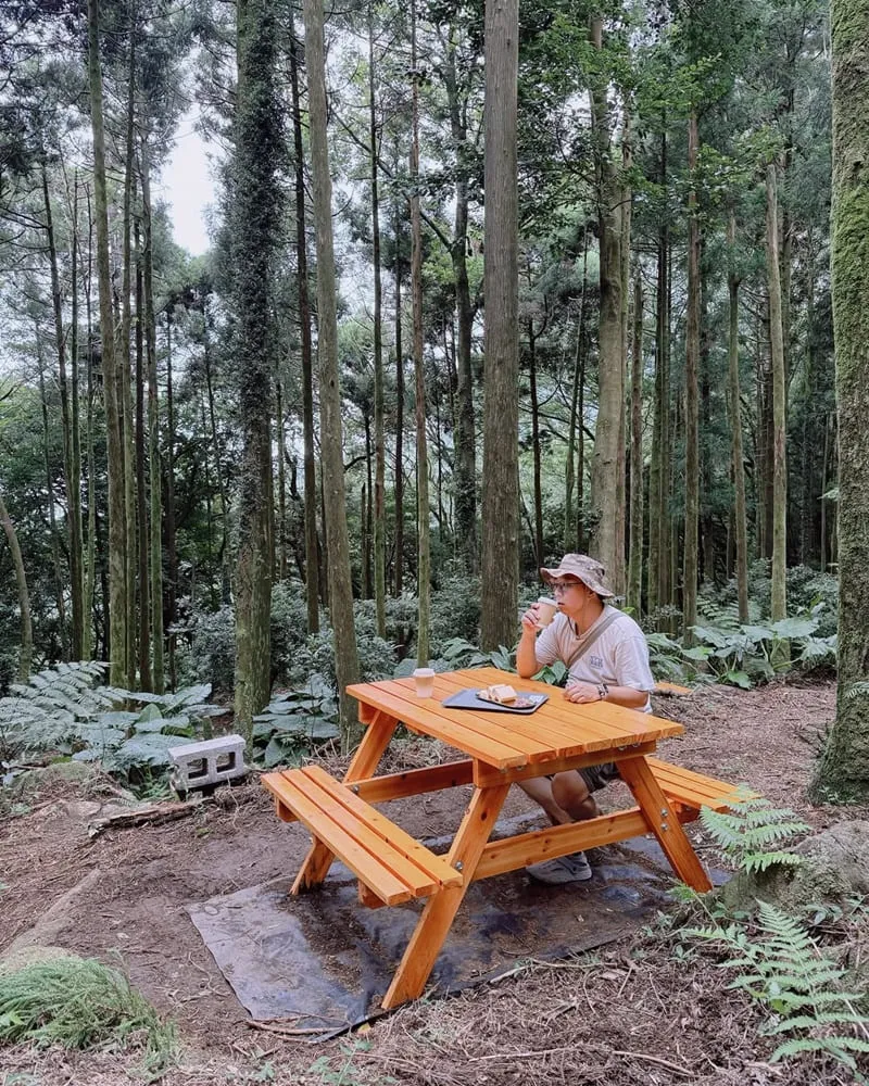 杉旅森林 Coffee Roaster