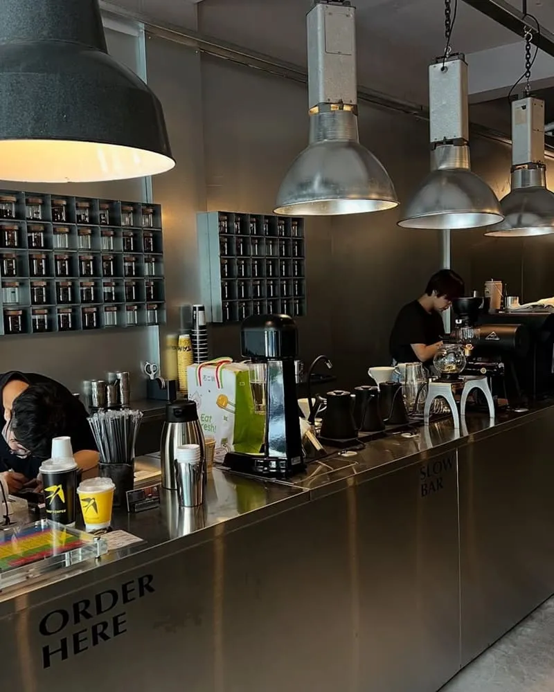 Tamp Temper FreeSolo 台中
