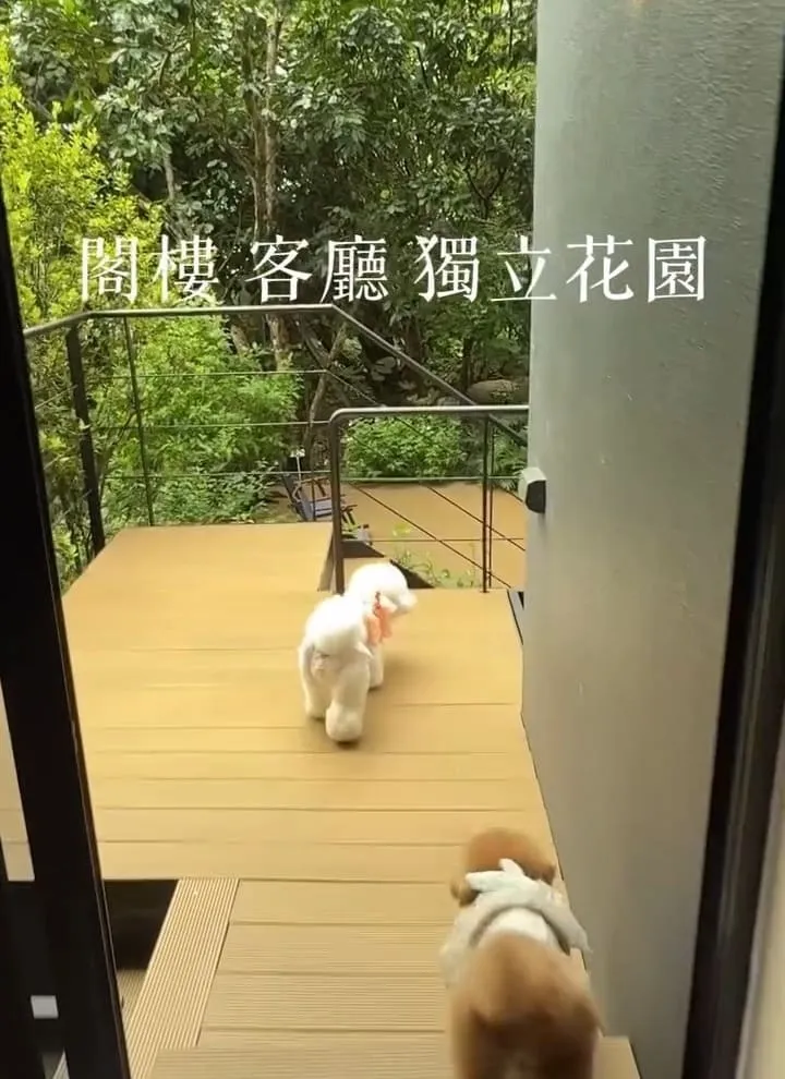 五十華 礁溪行館|宜蘭一泊四食