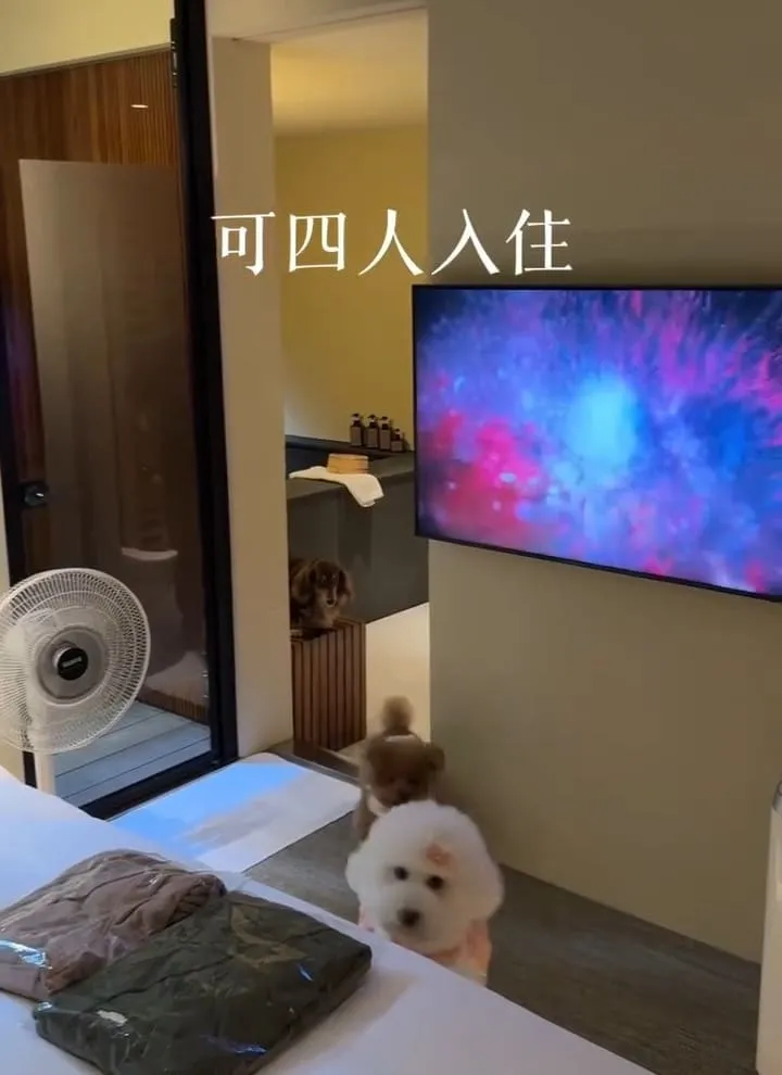 五十華 礁溪行館|宜蘭一泊四食