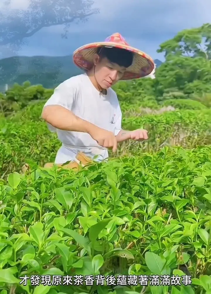 茶廂露螢 輕奢露營車