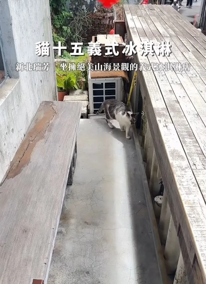 貓十五義式冰淇淋 Lickato Gelateria