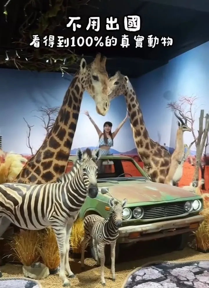 獅子住裡面The Lion’s Den