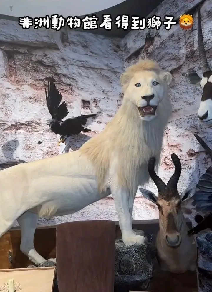 獅子住裡面The Lion’s Den