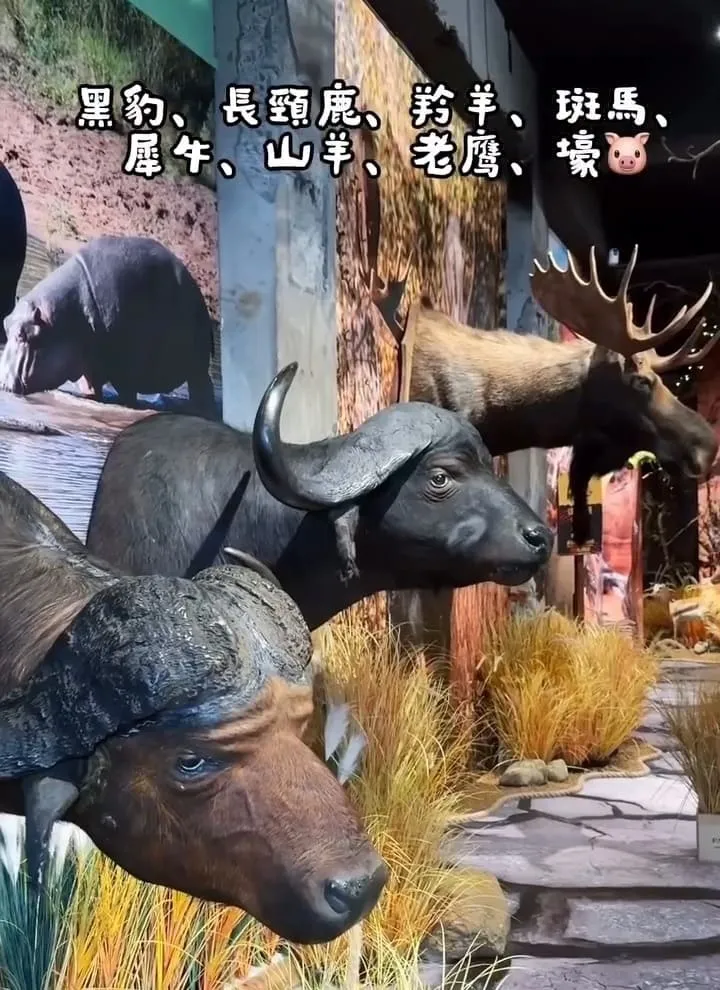 獅子住裡面The Lion’s Den