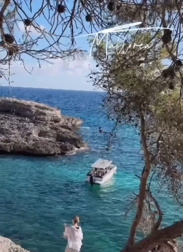 馬略卡果凍海