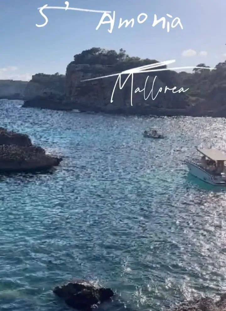 馬略卡果凍海