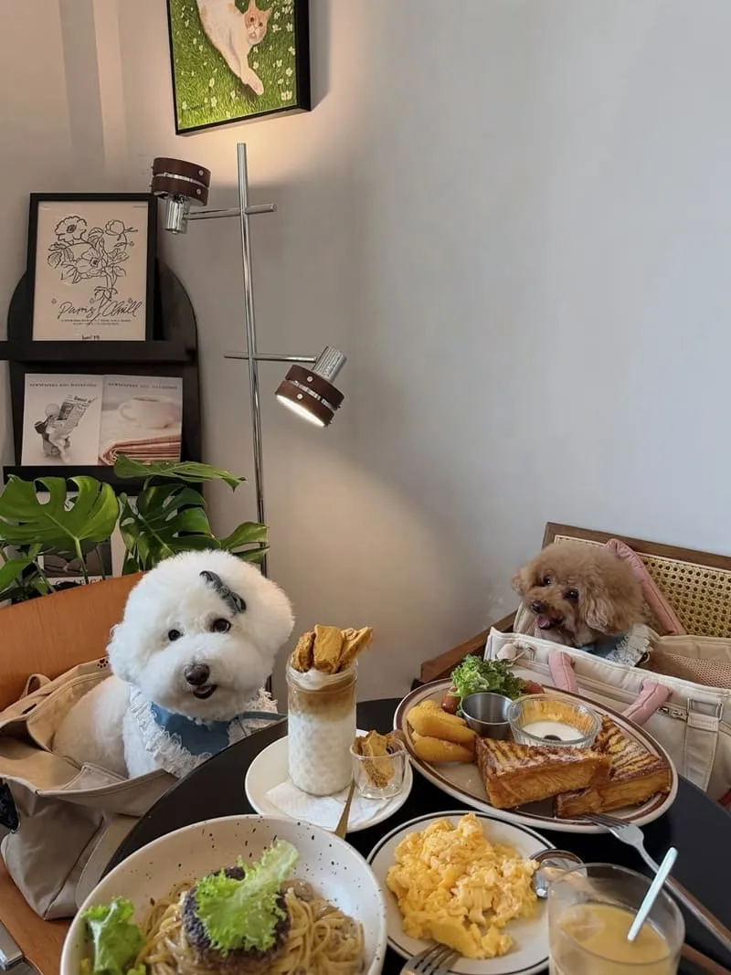 肉球尼尼 Meatball Nini 早午餐