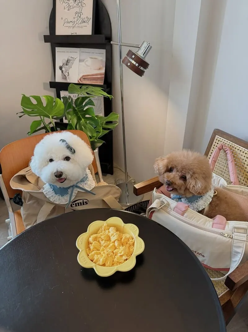 肉球尼尼 Meatball Nini 早午餐