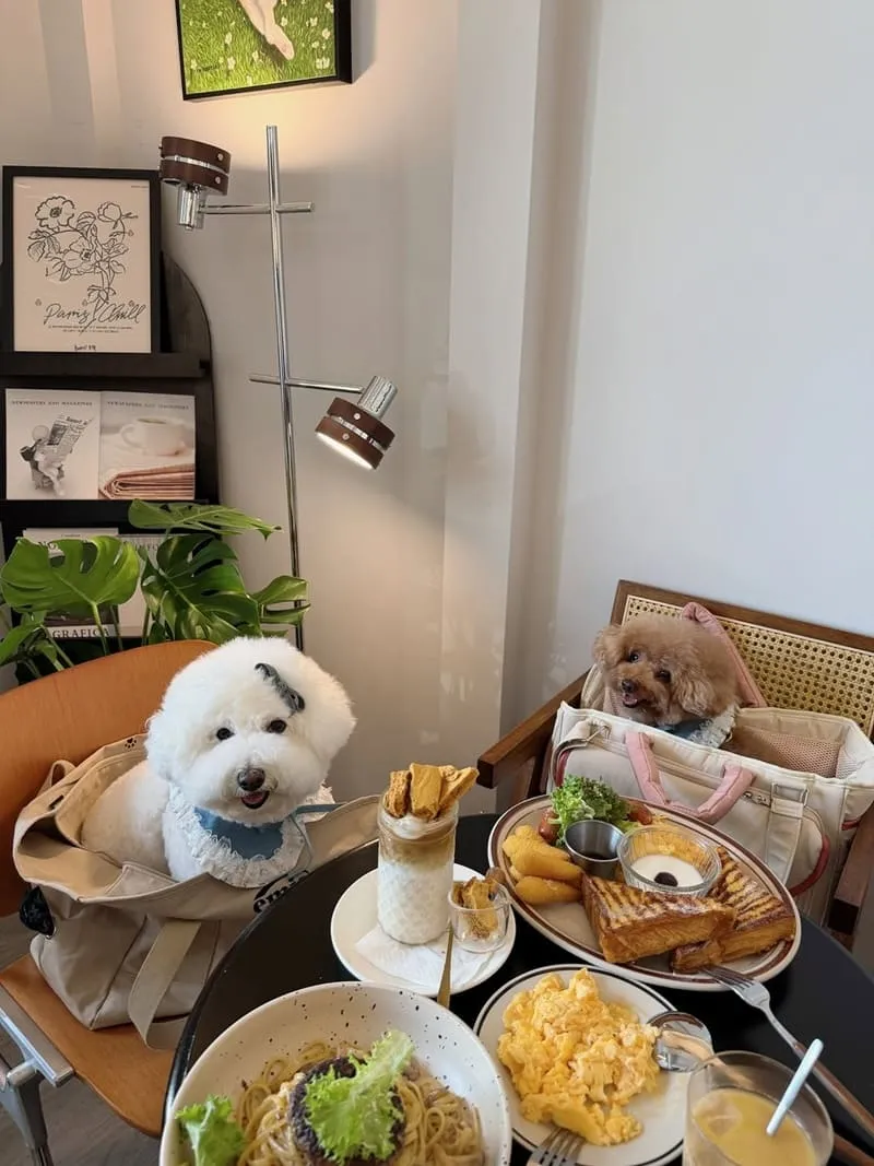 肉球尼尼 Meatball Nini 早午餐