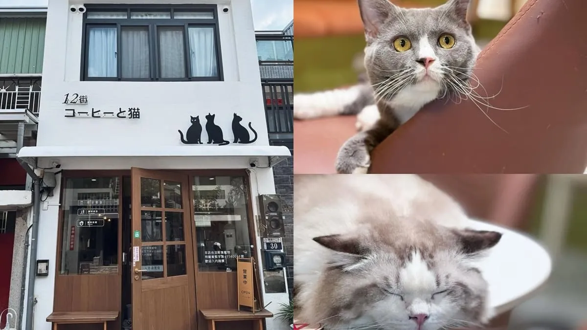 12街貓屋 Nekoya